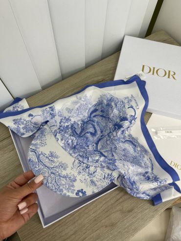 Шёлковый козырёк Christian Dior LUX-73540